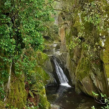 Casa Da Alta منزل ريفي Coja